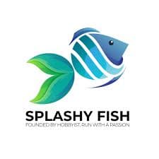 Splashy Fish
